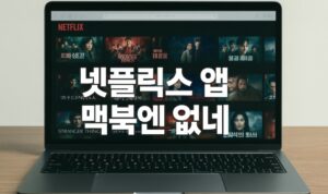 넷플릭스 앱 왜 맥북엔 없을까 대안은 바로가기