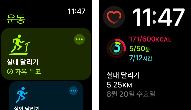 링 채우려고 산 운동 초보의 애플워치10 후기