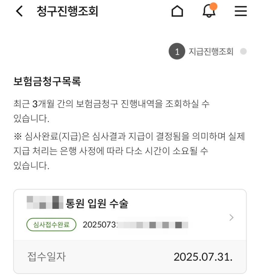 치질수술 비용 우체국 실손보험 직접 청구 후기
