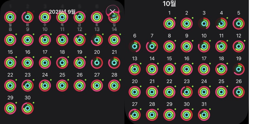 러닝 시작 4개월 차, 40대 아저씨 솔직한 후기