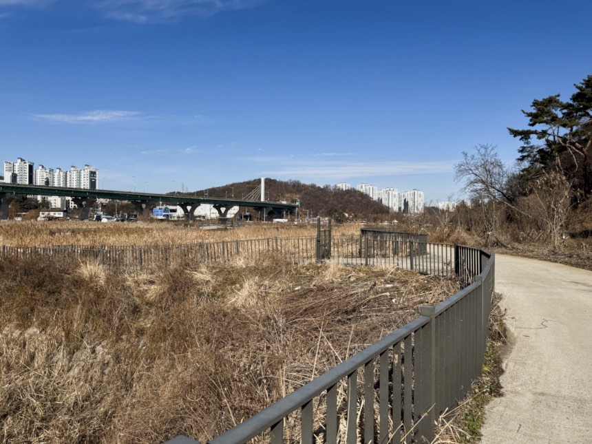 용인 기흥호수공원 러닝 가이드, 주차, 코스 추천