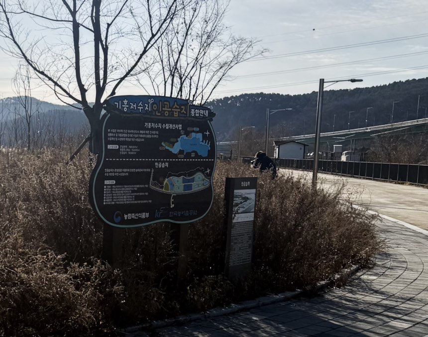 용인 기흥호수공원 러닝 가이드, 주차, 코스 추천